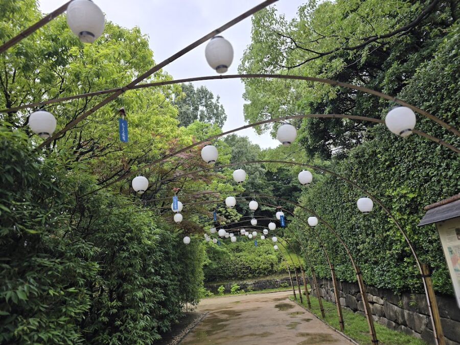 雨　白鳥庭園　雨のロケ